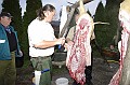 disznovagas_2008_062