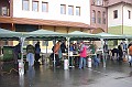 disznovagas_2008_118