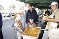 disznovagas_2008_165