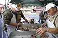 disznovagas_2008_185