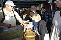 disznovagas_2008_203