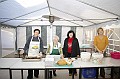 disznovagas_2008_204