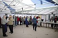 disznovagas_2008_237