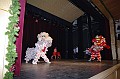 disznovagas_2008_271
