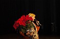 disznovagas_2008_360