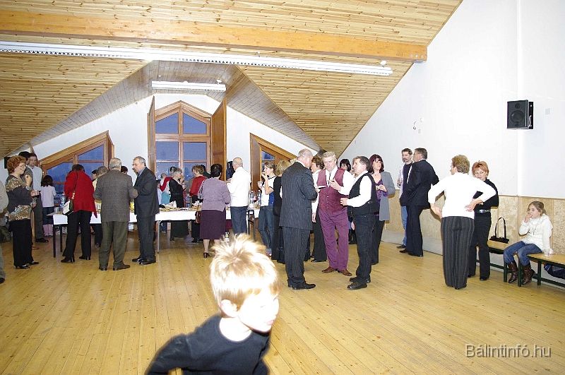 erdelyitanchaz_2008_100.jpg