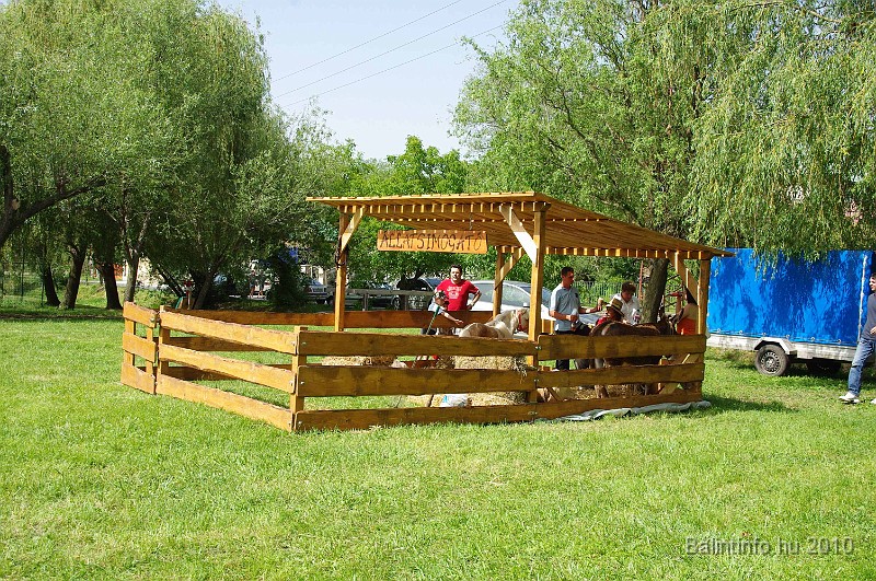 balinti_sokadalom_2010_057.jpg