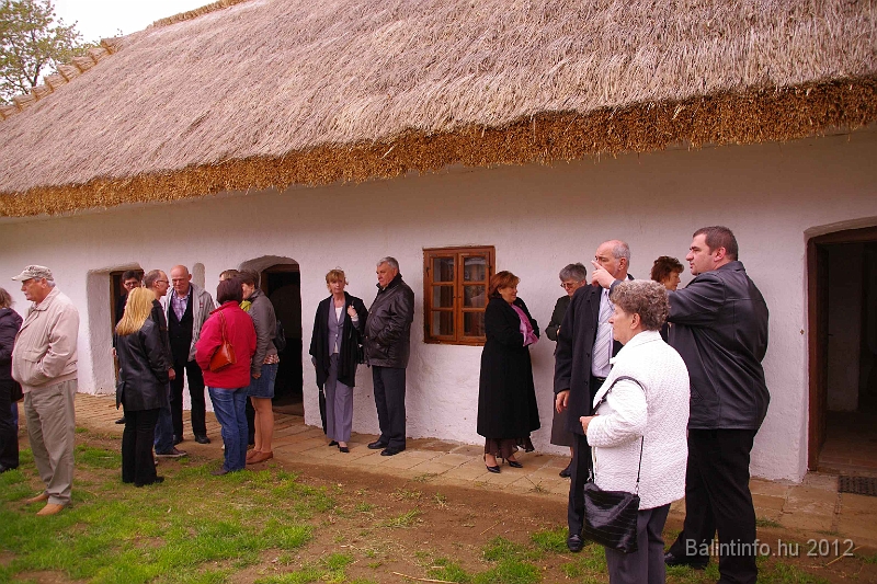 buk-torokbalint_tizeves_evfordulo_2012_087.jpg