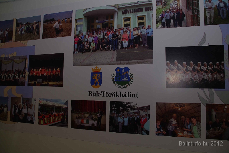 buk-torokbalint_tizeves_evfordulo_2012_201.jpg