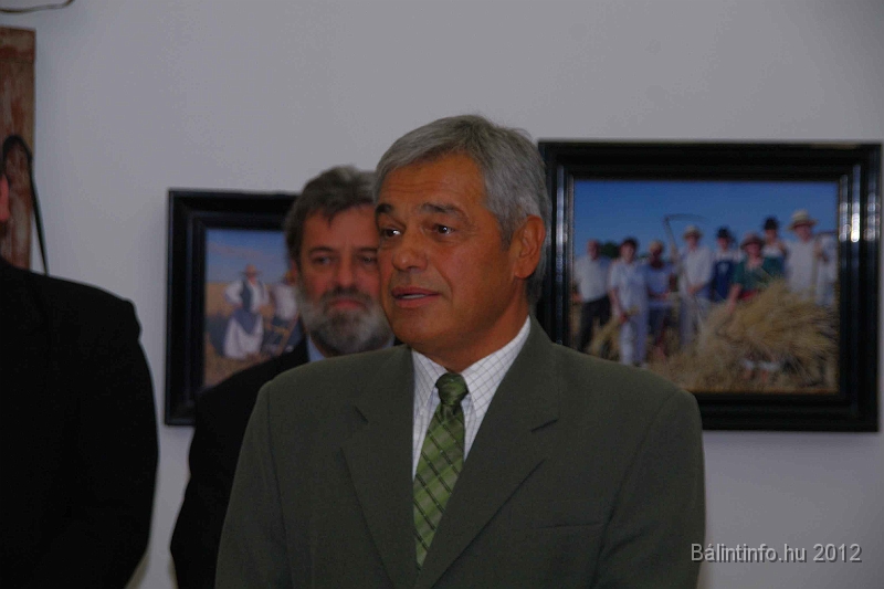 buk-torokbalint_tizeves_evfordulo_2012_221.jpg