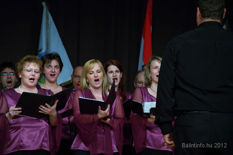 buk-torokbalint_tizeves_evfordulo_2012_285.jpg