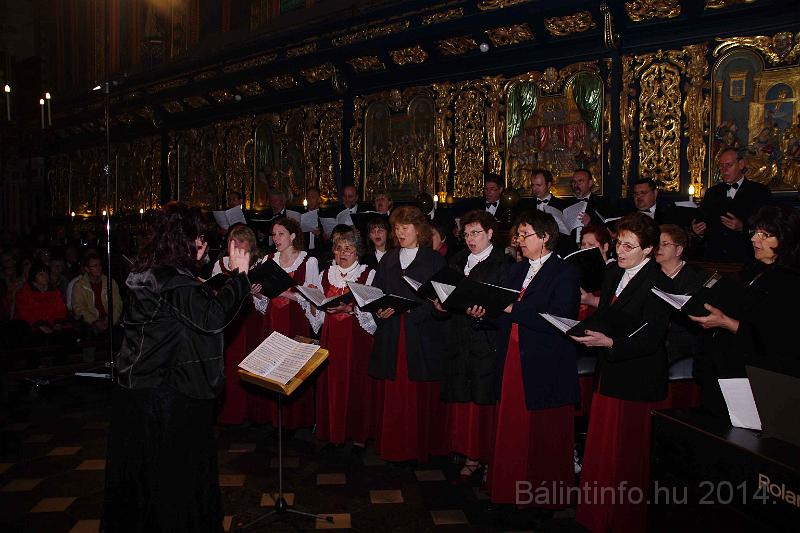 torokbalint_cantabile_krakko_koncert-1_2014_057.JPG