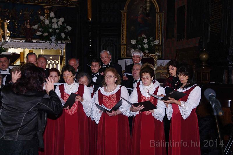torokbalint_cantabile_krakko_koncert-1_2014_073.JPG