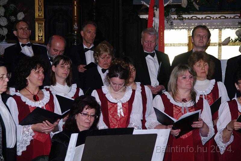 torokbalint_cantabile_krakko_koncert-1_2014_079.JPG