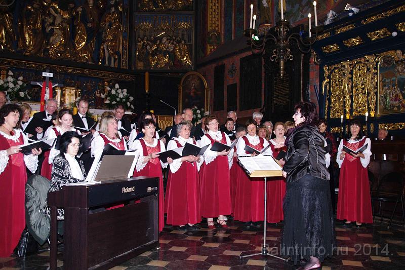 torokbalint_cantabile_krakko_koncert-1_2014_080.JPG
