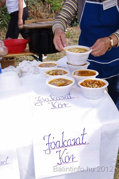 egeszseg_es_sportnap_2012_019.jpg