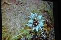 himalaja_expedicio_029