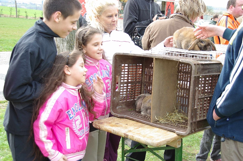 husvet_a_toparkban_2010_015.jpg