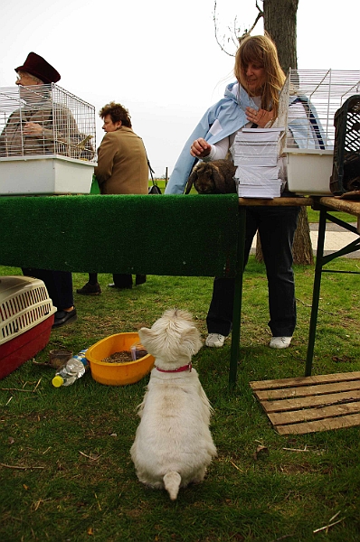 husvet_a_toparkban_2010_076.jpg