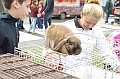 husvet_a_toparkban_2010_017