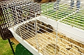 husvet_a_toparkban_2010_019