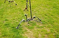 husvet_a_toparkban_2010_044