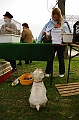 husvet_a_toparkban_2010_076