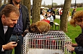 husvet_a_toparkban_2010_077