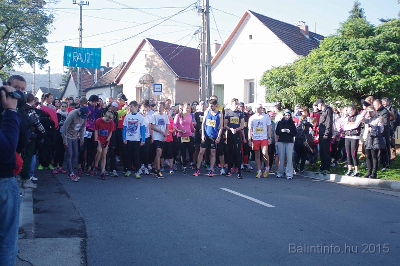 torokbalint_kerekdombfutas_2015_074.jpg