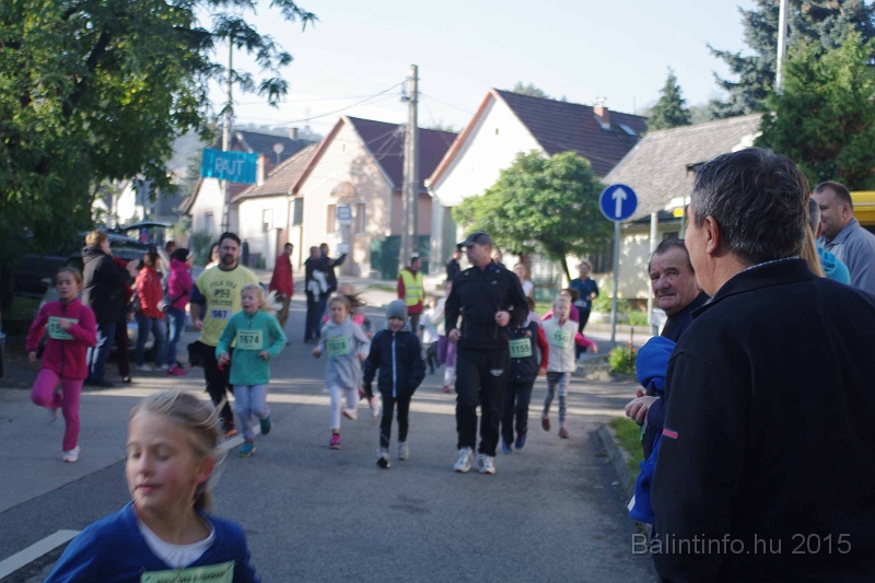 torokbalint_kerekdombfutas_2015_145.jpg