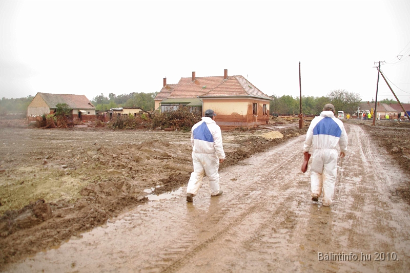 kolontar_adomany_2010_018.jpg