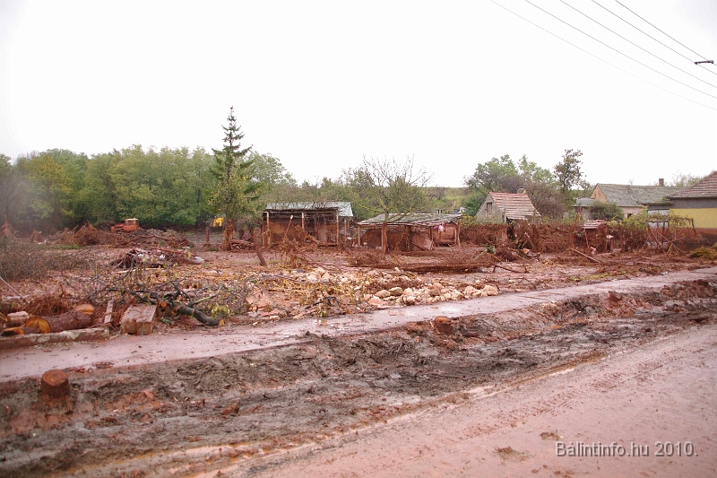 kolontar_adomany_2010_059.jpg