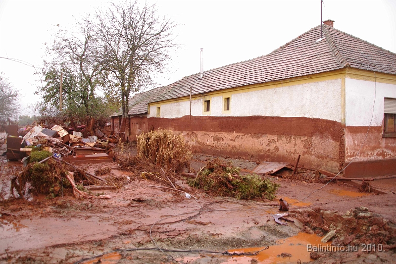 kolontar_adomany_2010_064.jpg