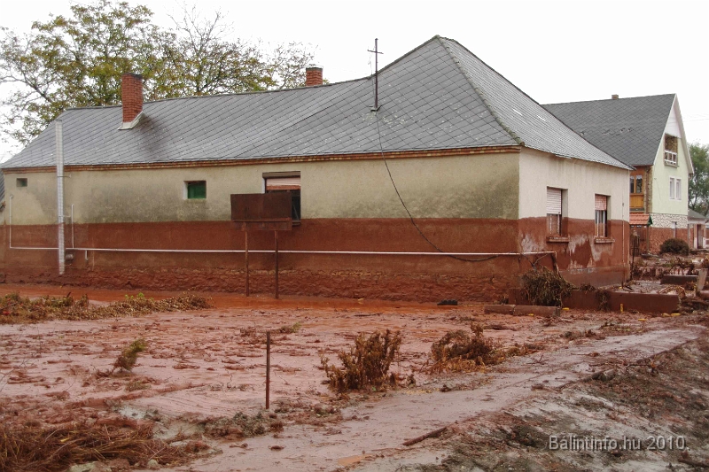 kolontar_adomany_2010_070.jpg