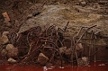 kolontar_adomany_2010_029