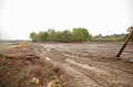 kolontar_adomany_2010_040