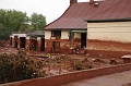 kolontar_adomany_2010_051