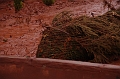 kolontar_adomany_2010_054