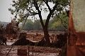 kolontar_adomany_2010_056