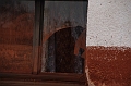 kolontar_adomany_2010_063
