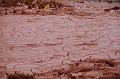 kolontar_adomany_2010_074