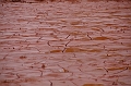 kolontar_adomany_2010_076