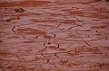 kolontar_adomany_2010_077
