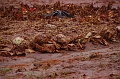 kolontar_adomany_2010_079