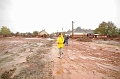 kolontar_adomany_2010_081