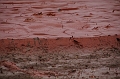 kolontar_adomany_2010_084