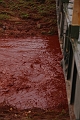 kolontar_adomany_2010_086