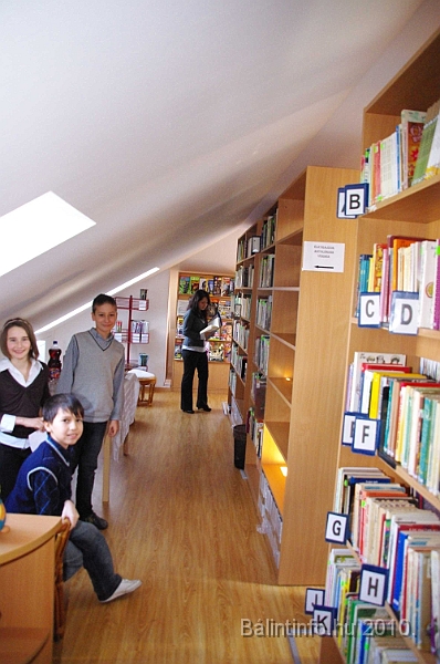 konyvtaravatas_balintmarton_2010_006.jpg