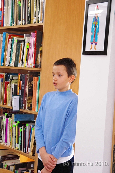 konyvtaravatas_balintmarton_2010_023.jpg