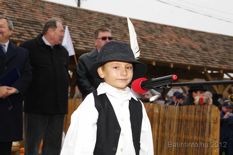 nagytarkany_torokbalint_martonnap_2012_035.jpg